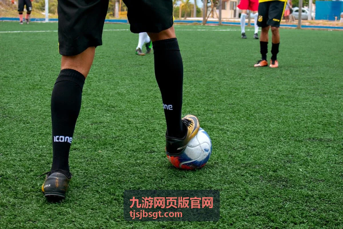 九游网页版官网账号安全与登录记录查看界面示意
